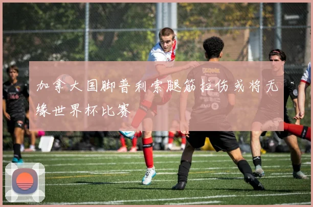 加拿大国脚普利索腿筋拉伤或将无缘世界杯比赛