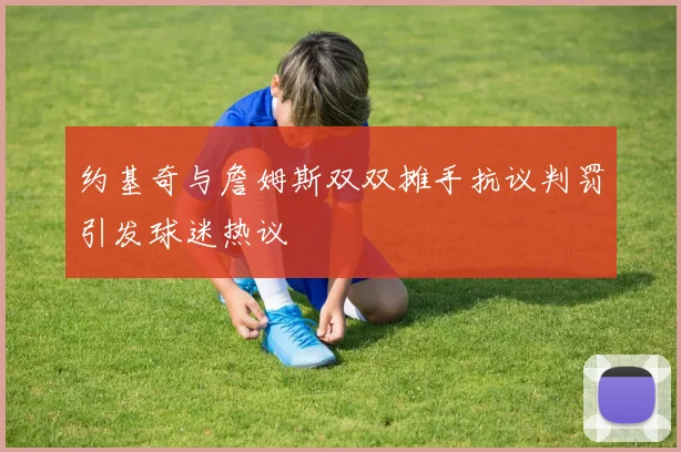 约基奇与詹姆斯双双摊手抗议判罚引发球迷热议