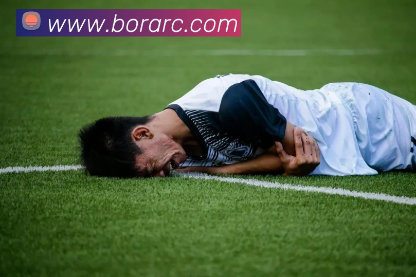 用户互动社区